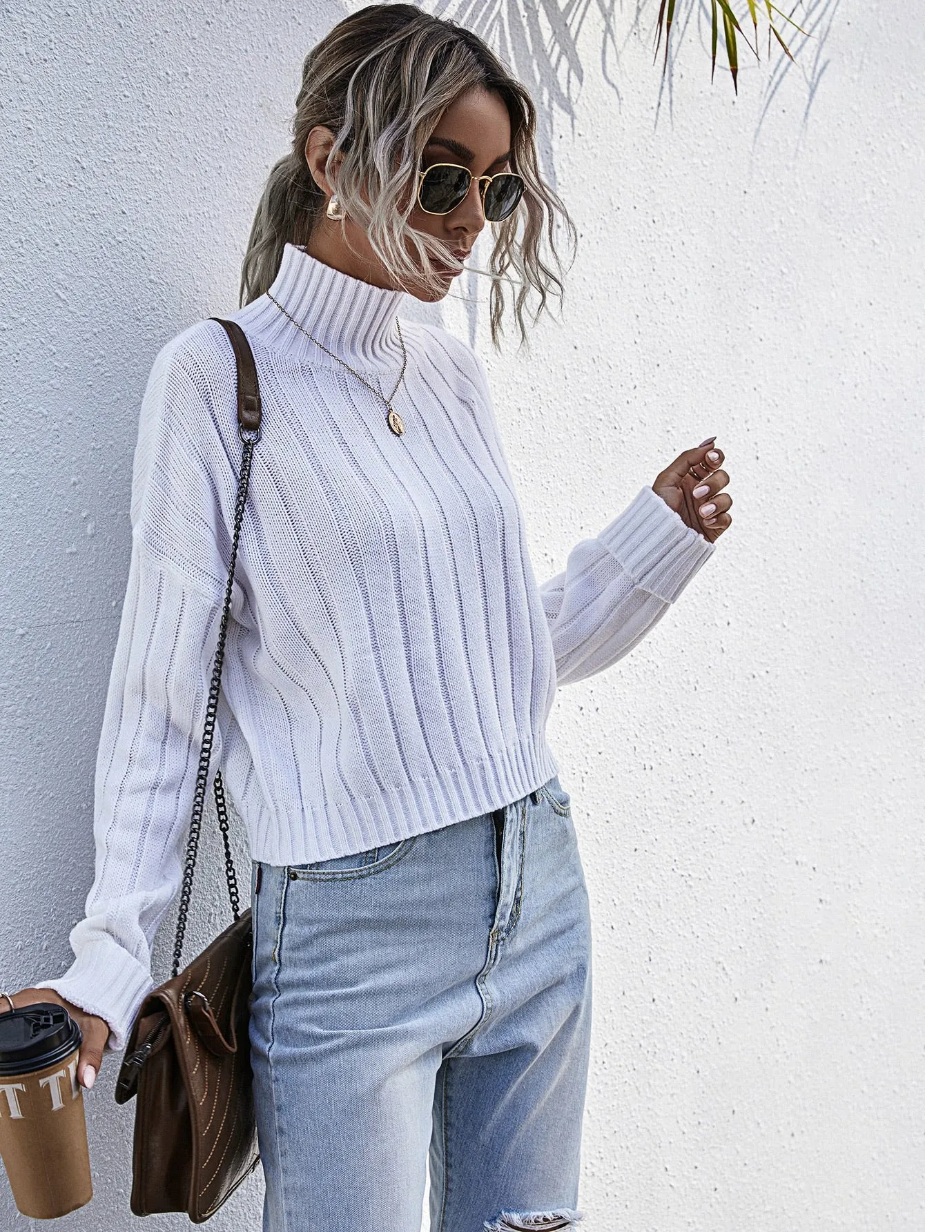 Casual Plain Rib-Knit Long Sleeve High Neck Regular Women Sweater